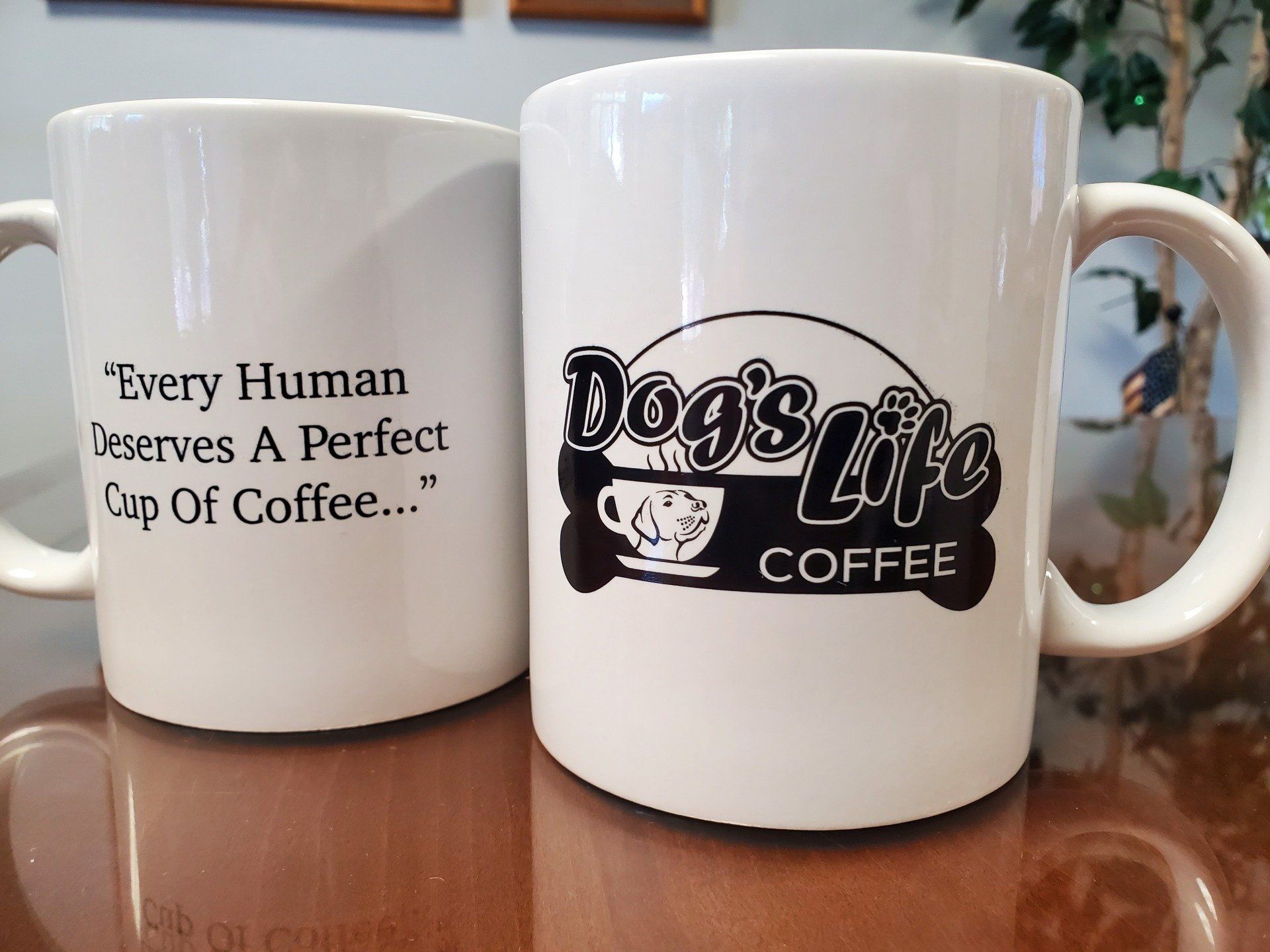 Dog's Life Coffee | Coffee Grounds | Cup Roasts | Santa Maria