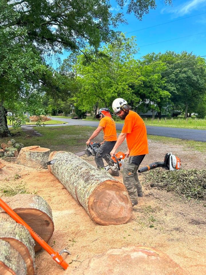 Two workers in orange shirts cutting a large fallen tree trunk outdoors with a chainsaw
