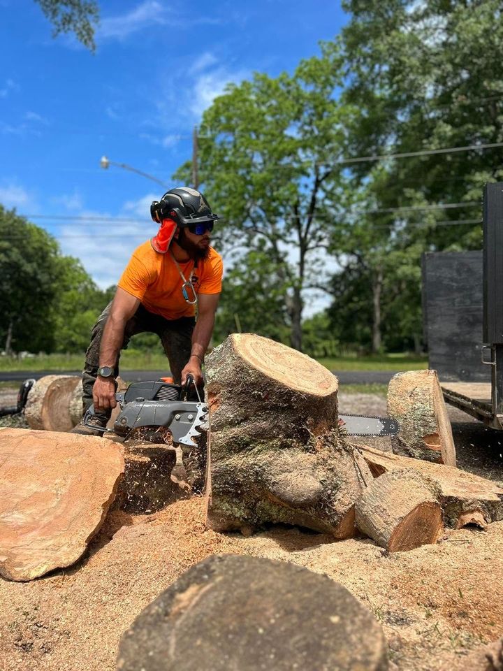 Person using a chainsaw to cut a tree stump outdoors amid wood chips and logs