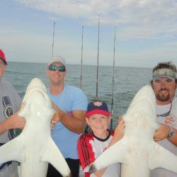 Three people hold large fish on a boat with ocean and fishing rods in the background.