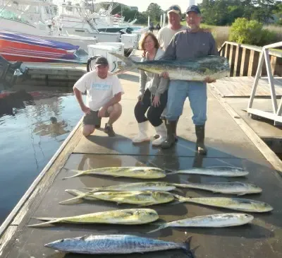 People posing on a dock beside several large fish laid out in rows, with boats and water behind them.