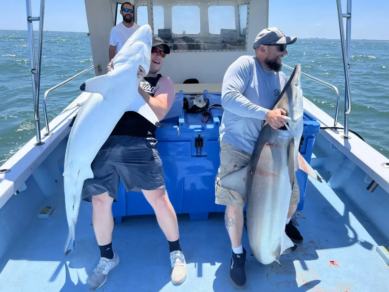 Three people on a fishing boat holding large fish on a sunny day.