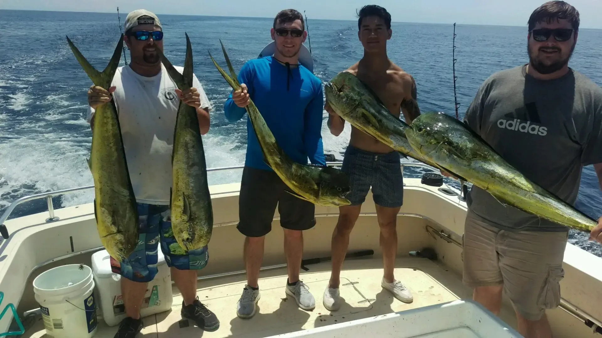 Four anglers on a boat holding large dolphinfish on a sunny ocean trip
