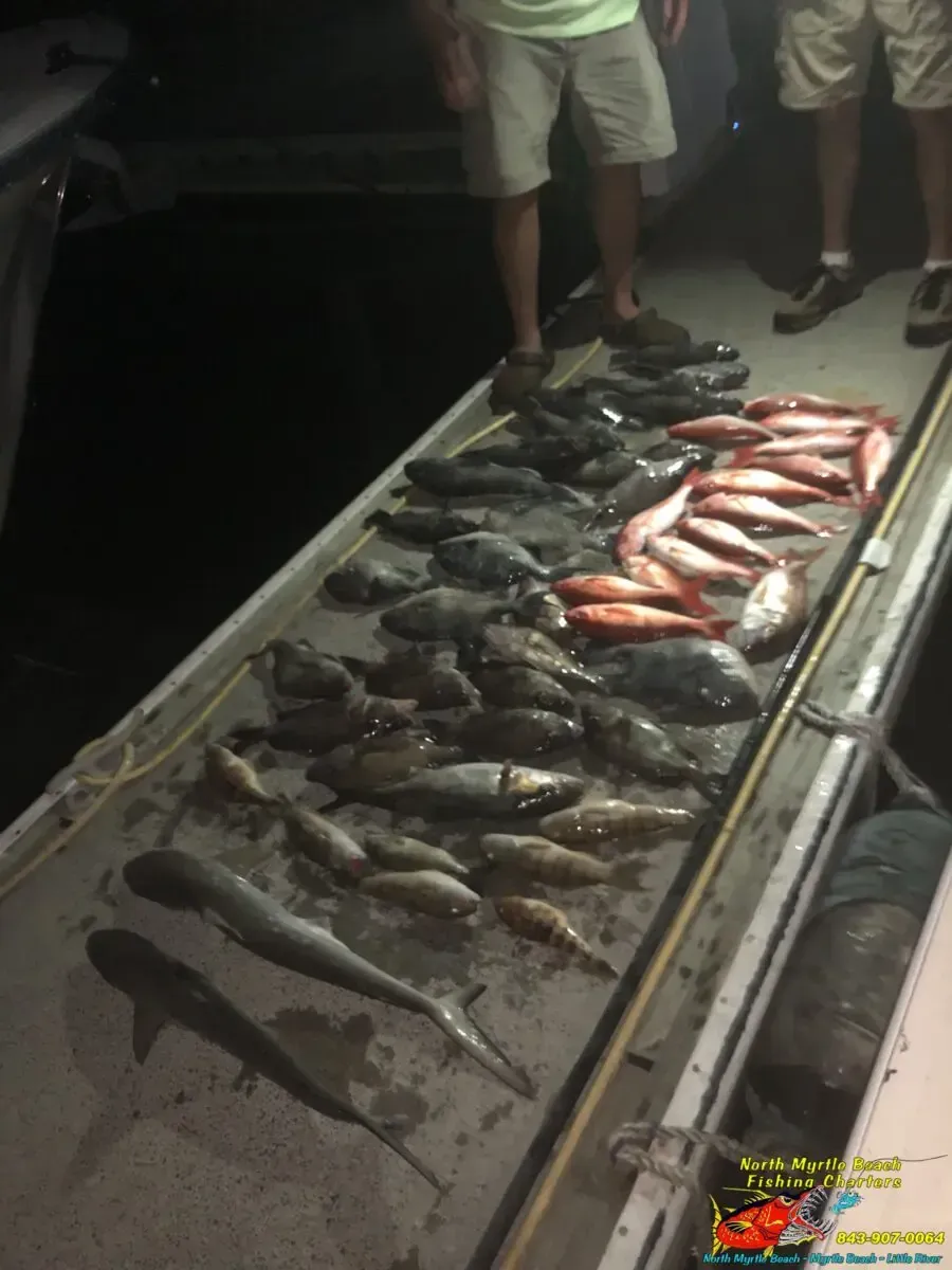 Fresh fish laid out on a market table, with people standing nearby in dim light