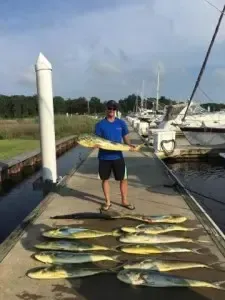 Person holding a fish on a dock with several fish laid out, boats and water in the background.