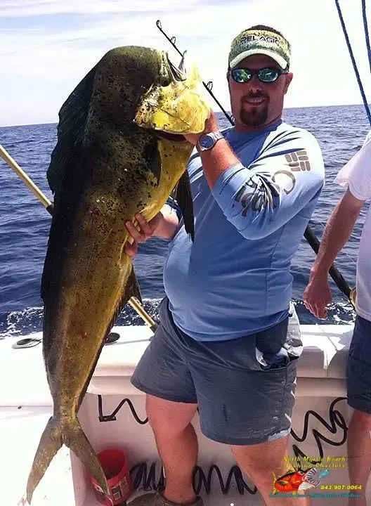 Man on a boat holding up a large yellow fish on the open sea