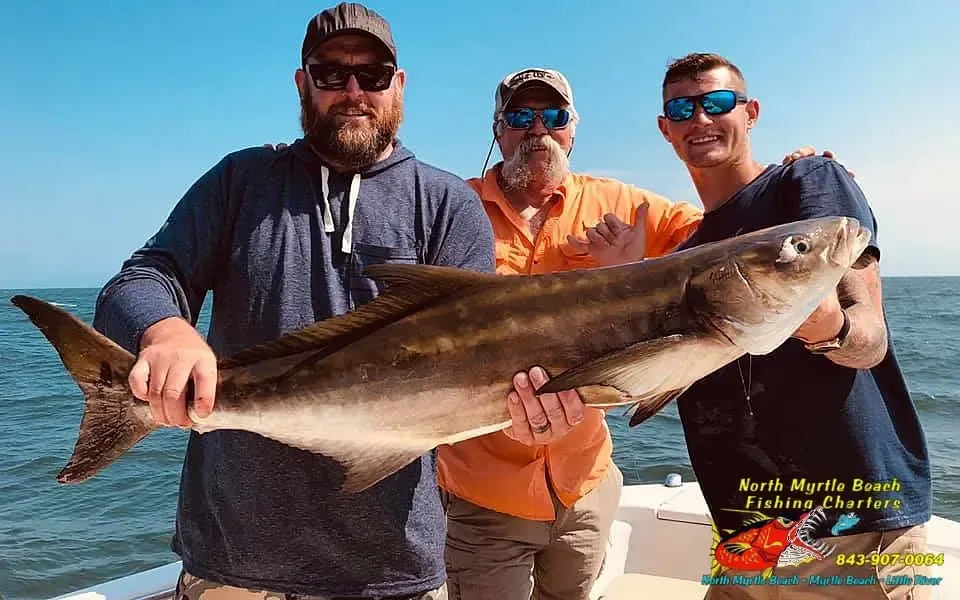 Three men on a boat hold up a large fish under a bright blue sky.