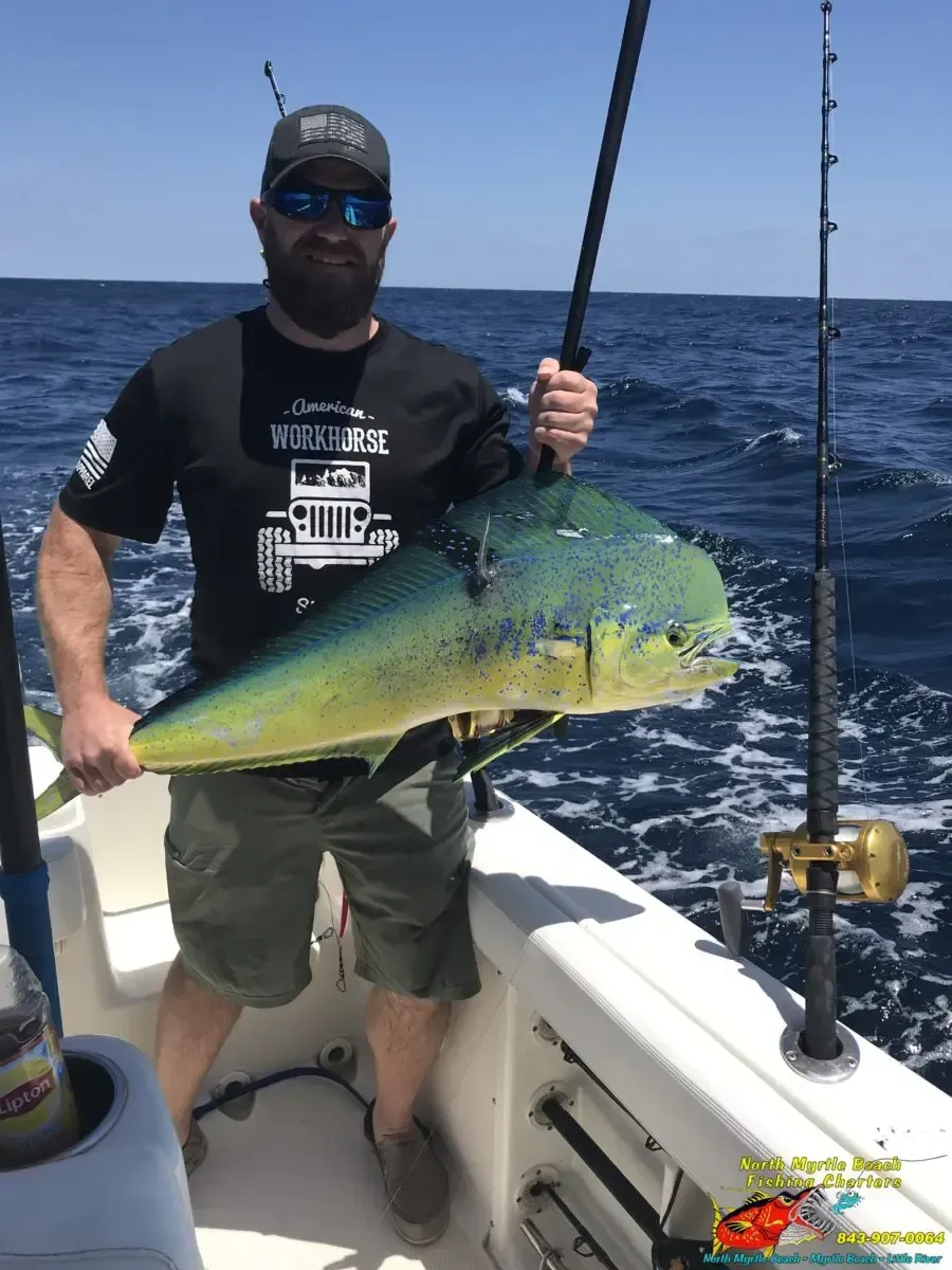 Angler on a boat holding a large green-yellow fish at sea with fishing rods visible