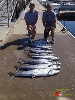 Two people kneel on a dock beside a row of large fish laid on the wet concrete.