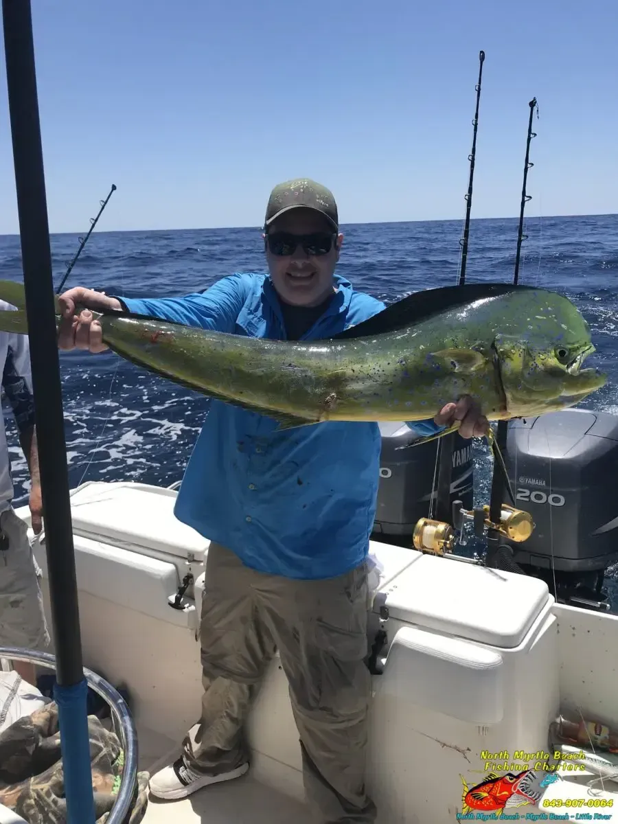 Angler holding a large green dolphinfish on a boat at sea