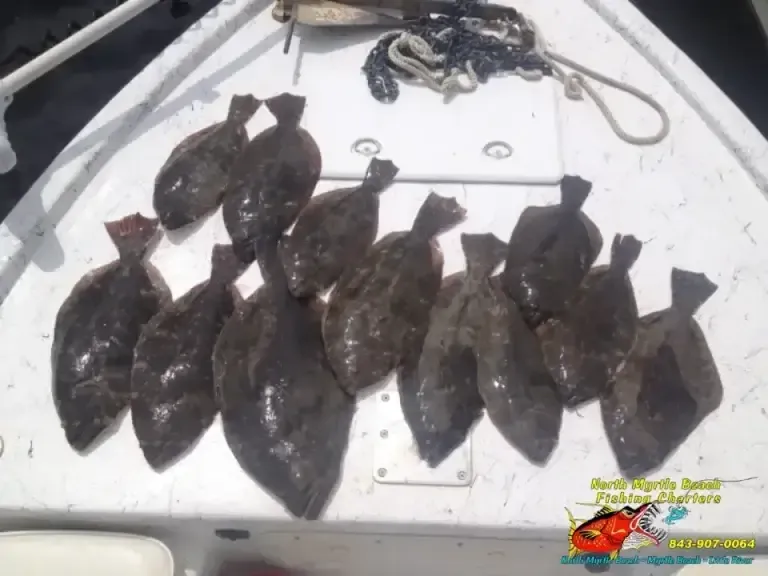 Freshly caught dark fish laid out on a white surface with fishing gear nearby