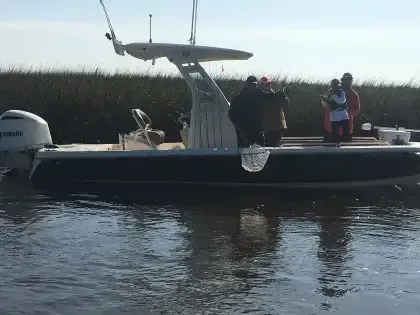 People standing on a motorboat with a canopy on calm water near reeds.