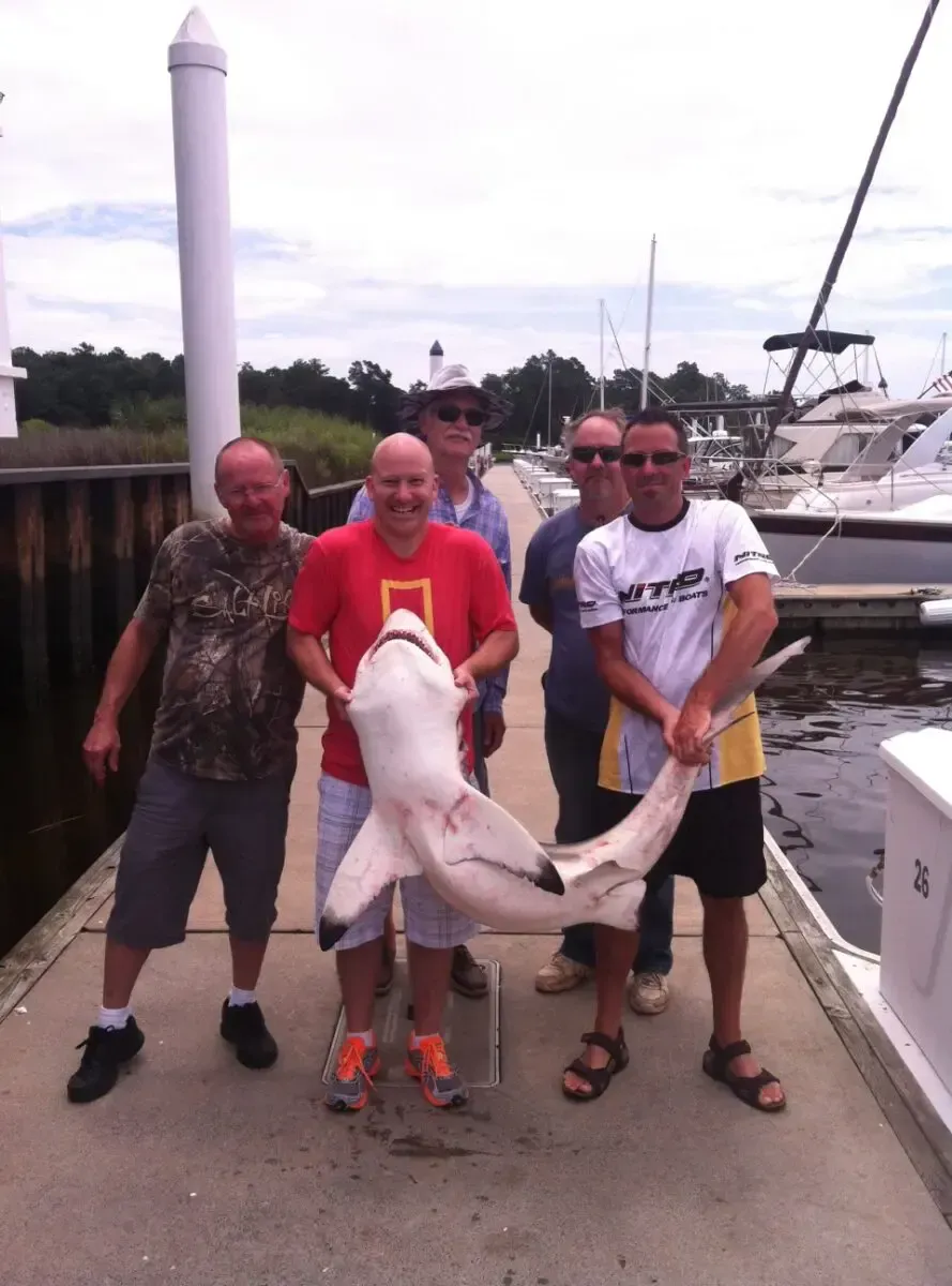 Three people on a marina dock holding a large fish, with boats in the background.