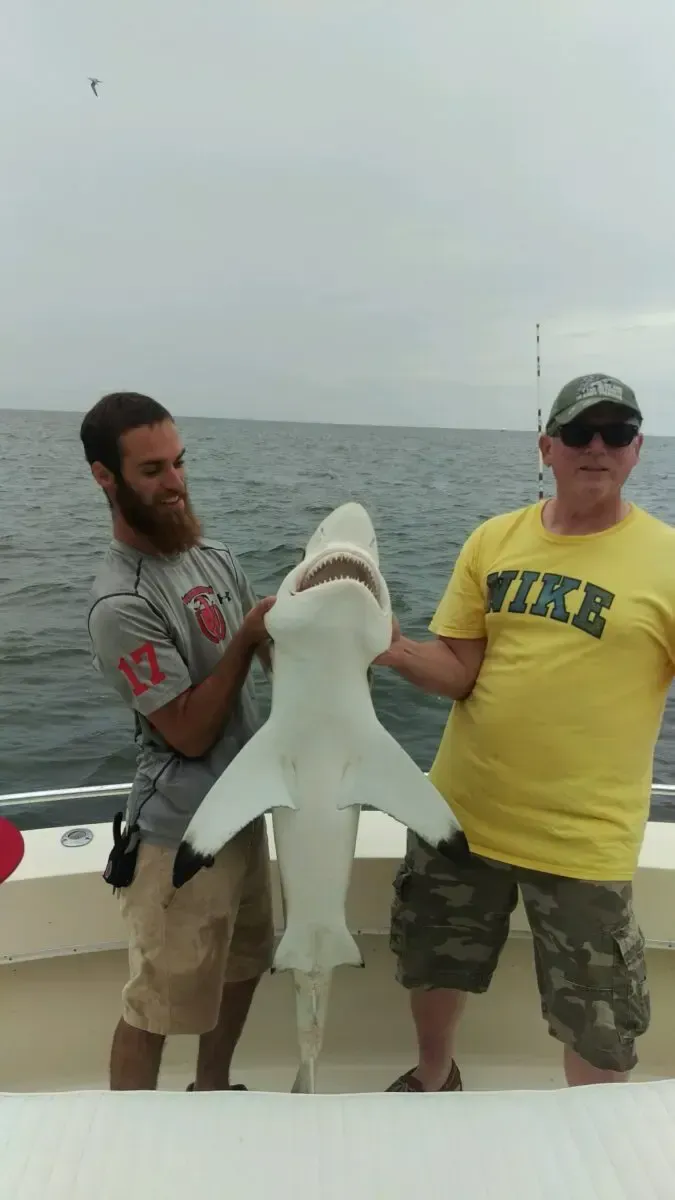 Two men holding a large shark on a boat, with water in the background.