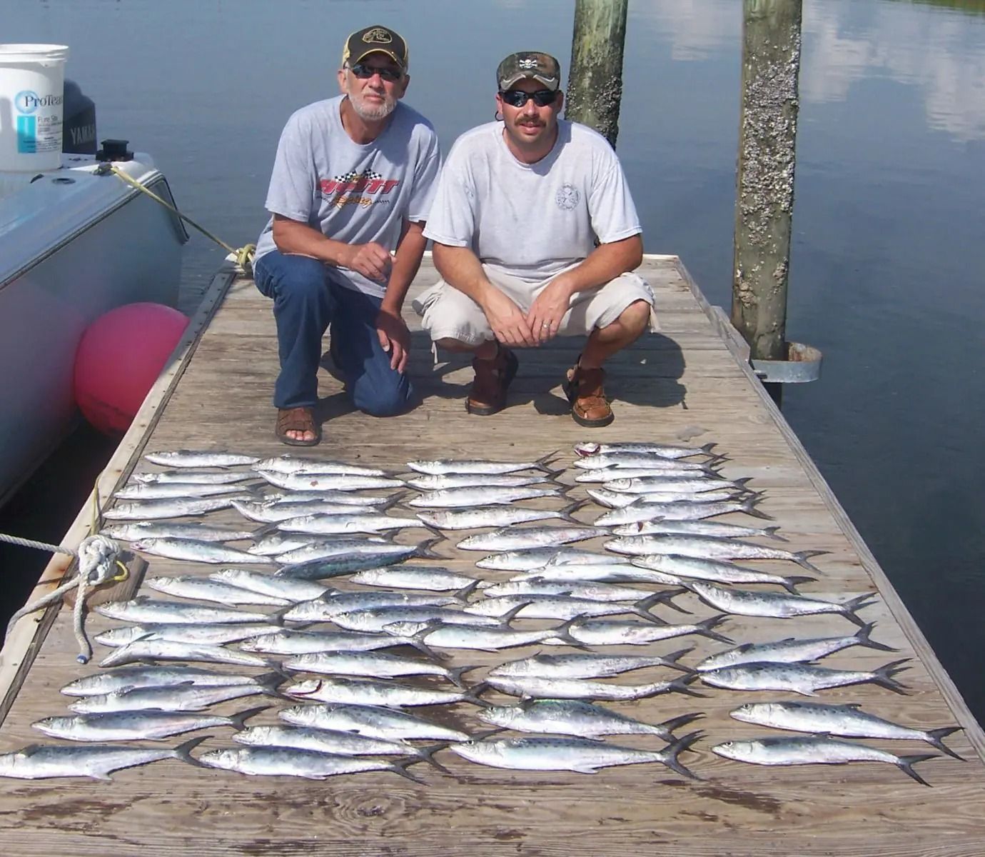 Two fishermen kneel on a dock beside a large catch of fish laid out in rows.