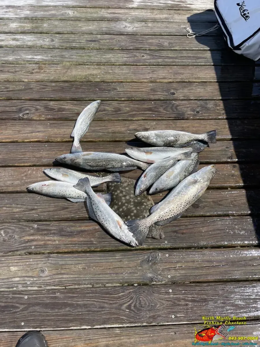 Several small silver fish lying on a weathered wooden dock beside a bag