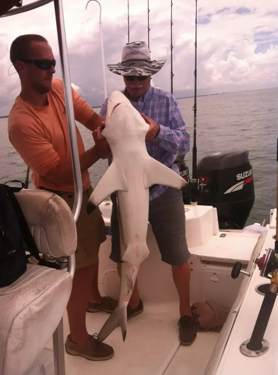 Two men on a boat hold a large shark over the deck at sea.