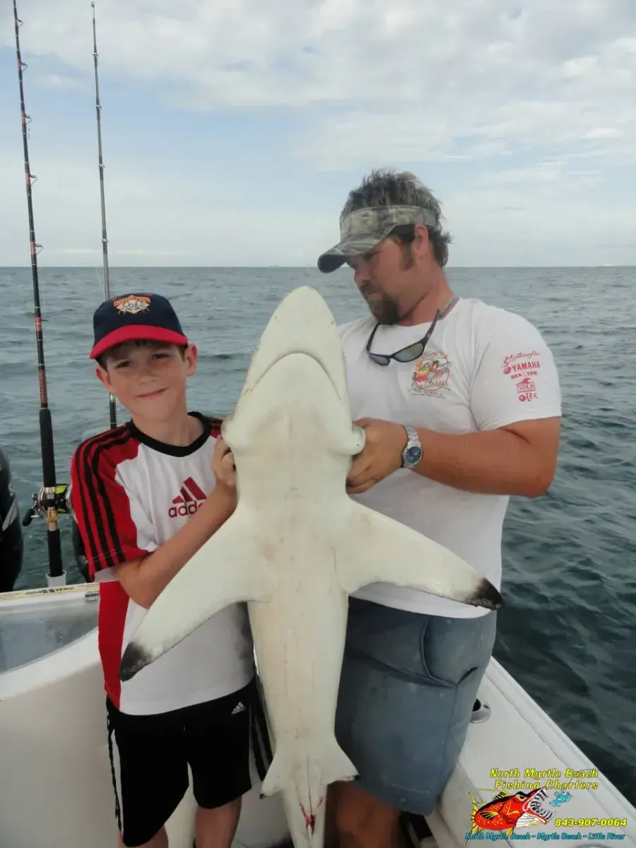 Two people on a boat holding a large shark over the deck, with fishing rods and open water behind them.
