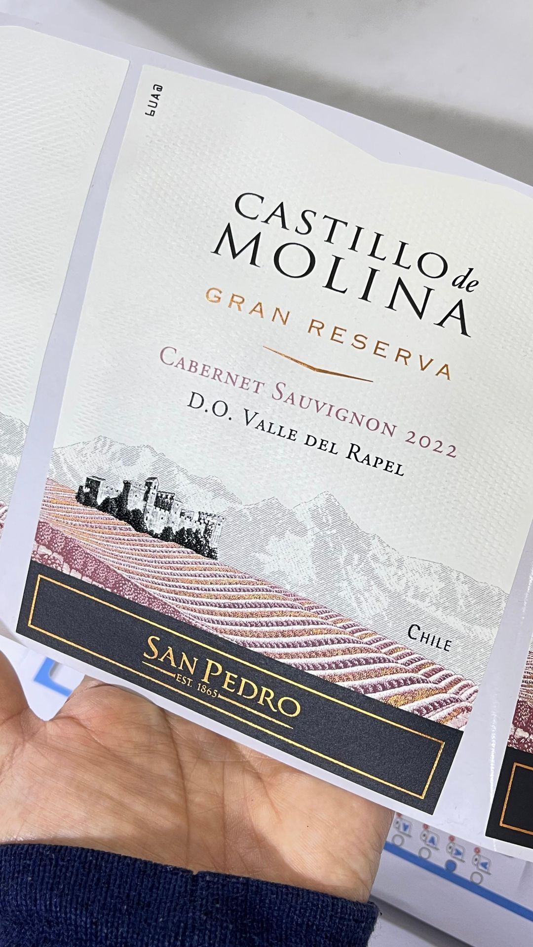 Mano sosteniendo la etiqueta de una botella de vino Château Molina, blanca y beige con detalles en negro y dorado.