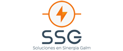 SSG SOLUCIONES EN SINERGIA GALM