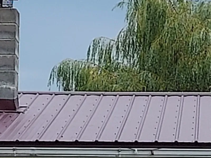 Reddish metal roof beside a brick chimney and leafy green tree against a blue sky
