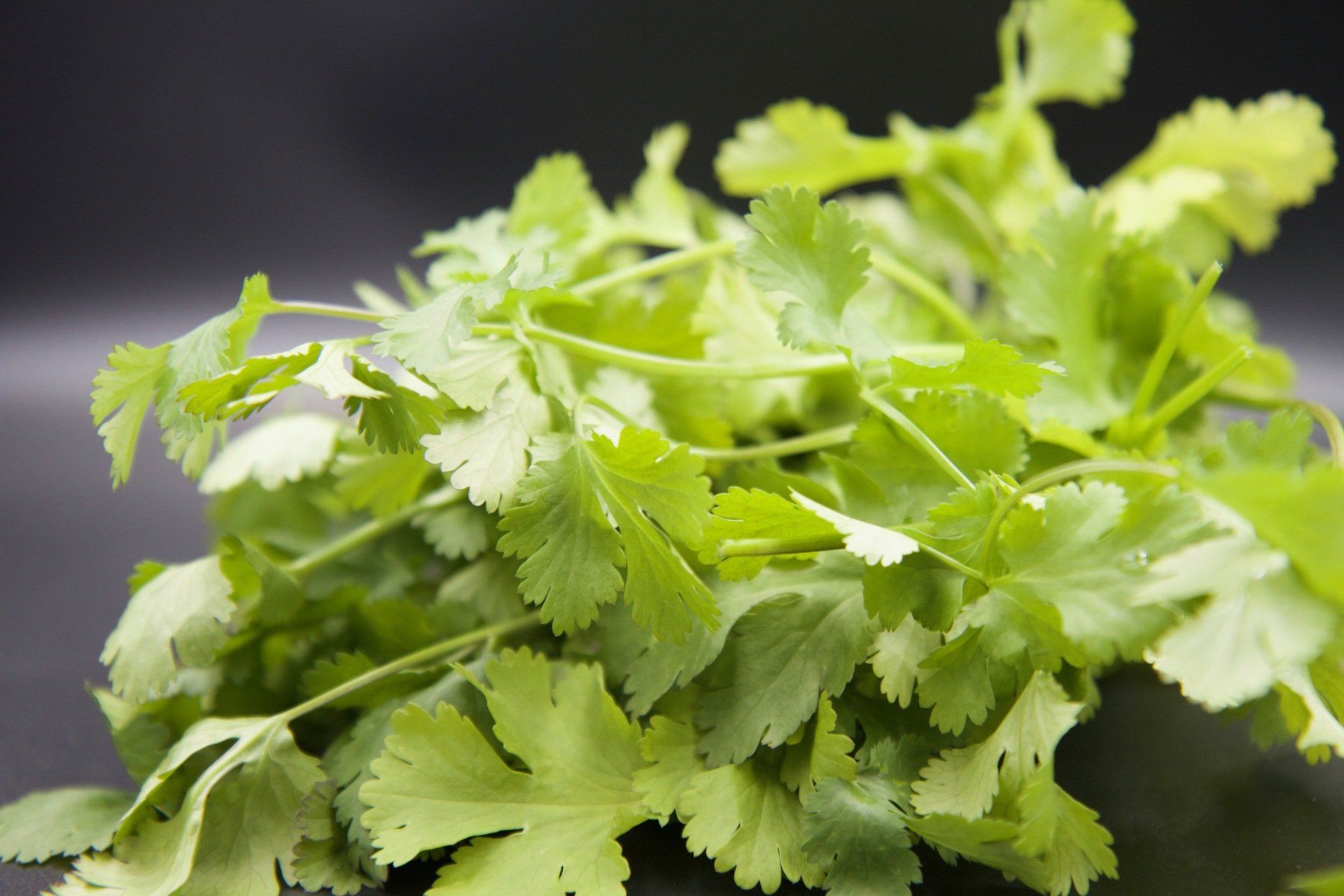 VasThai Coriander