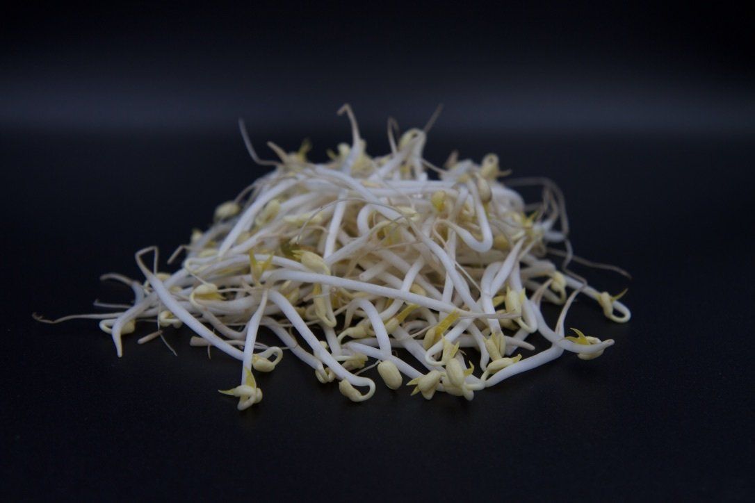 VasThai Bean Sprouts