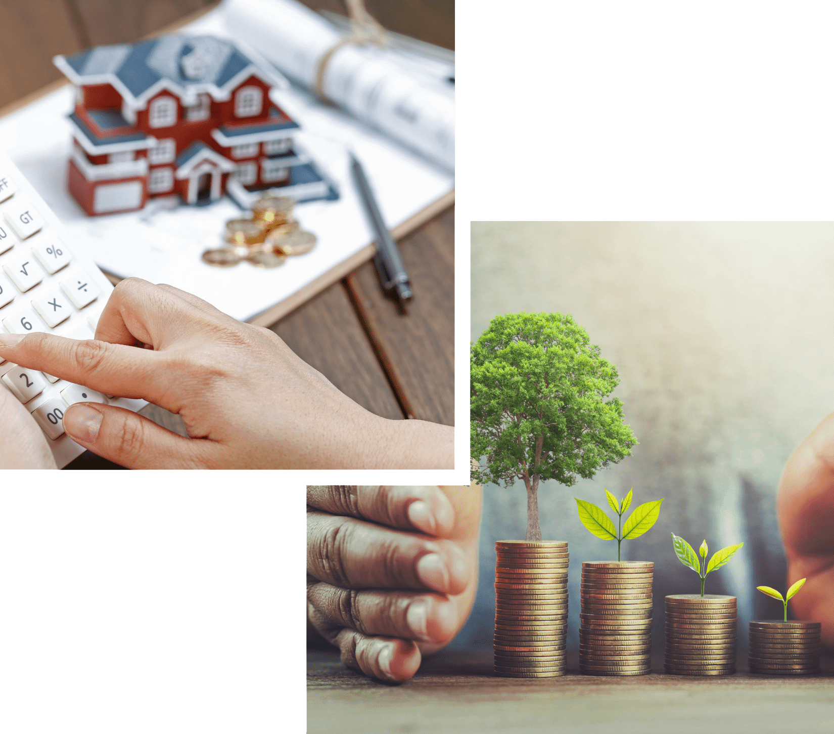 Managing And Preserving Financial
