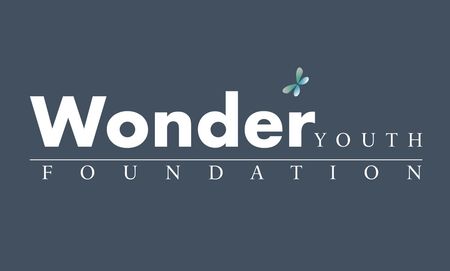 Wonder Youth Foundation. A national dance organization. Is a 501(c)(3) public charity foundation.