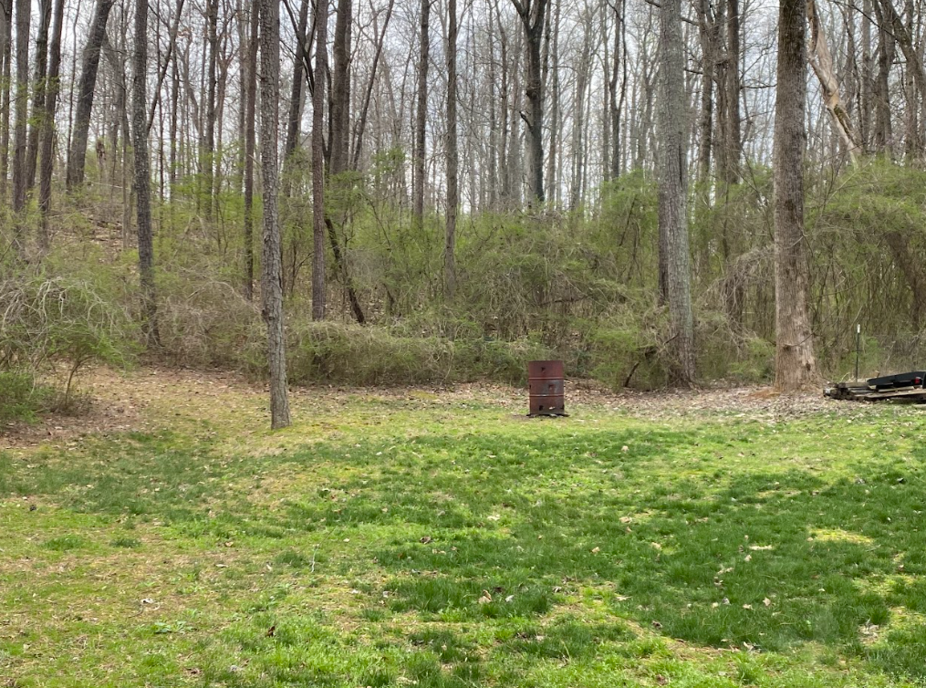 Grassy clearing with bare trees and dense shrubs in a wooded area