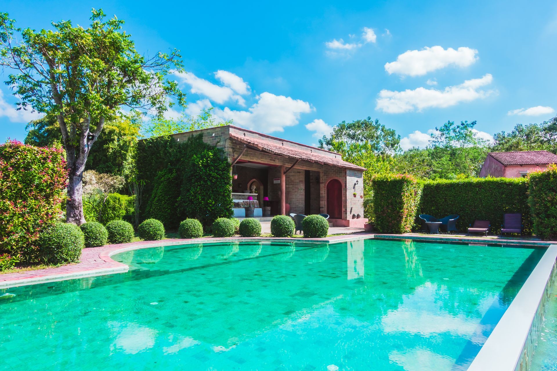Sunny backyard with turquoise pool, stone patio, and a house surrounded by lush greenery.