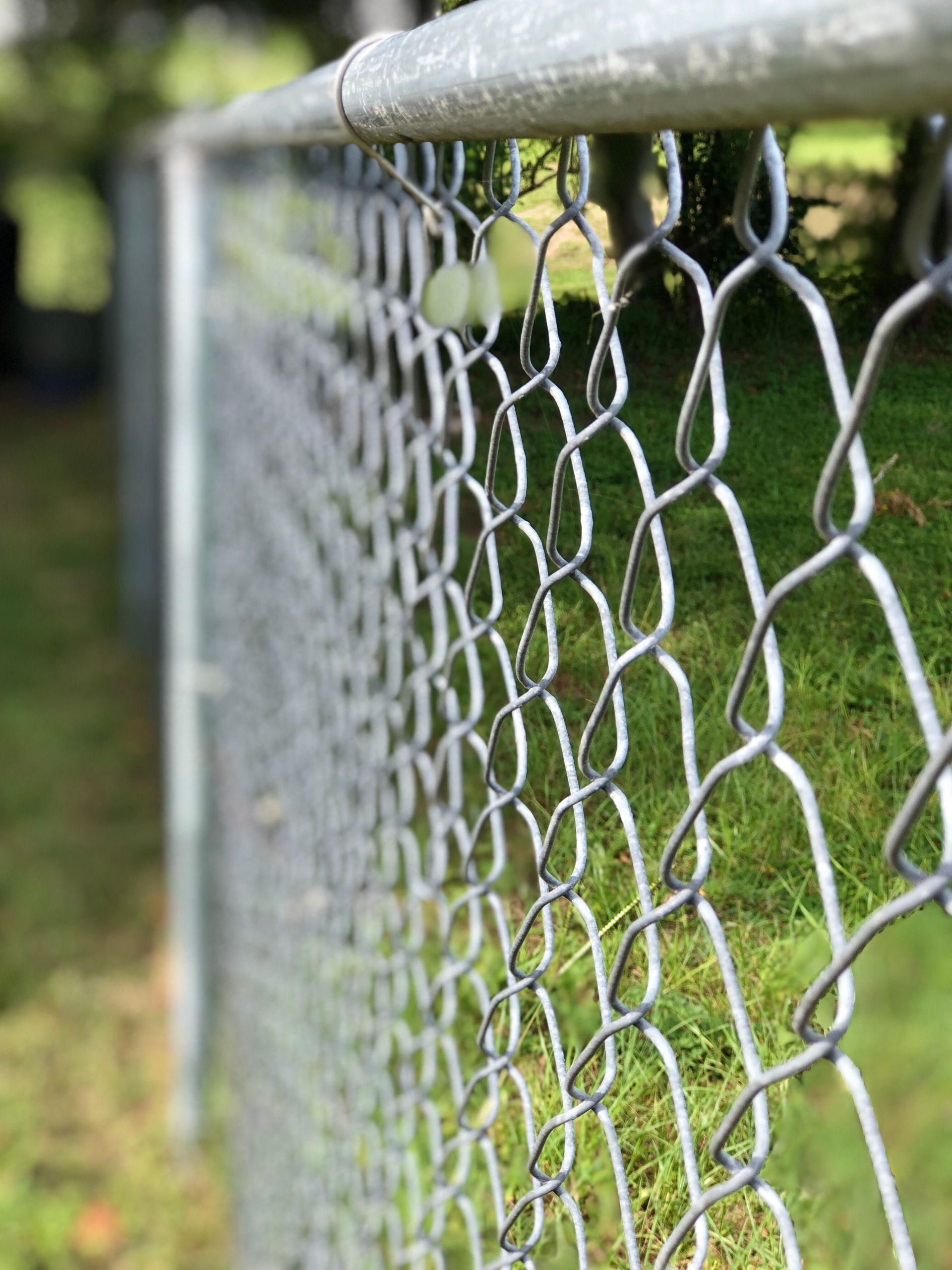 Chain-link fence with a blurred green background. Close-up on the metal links with the top rail in focus.