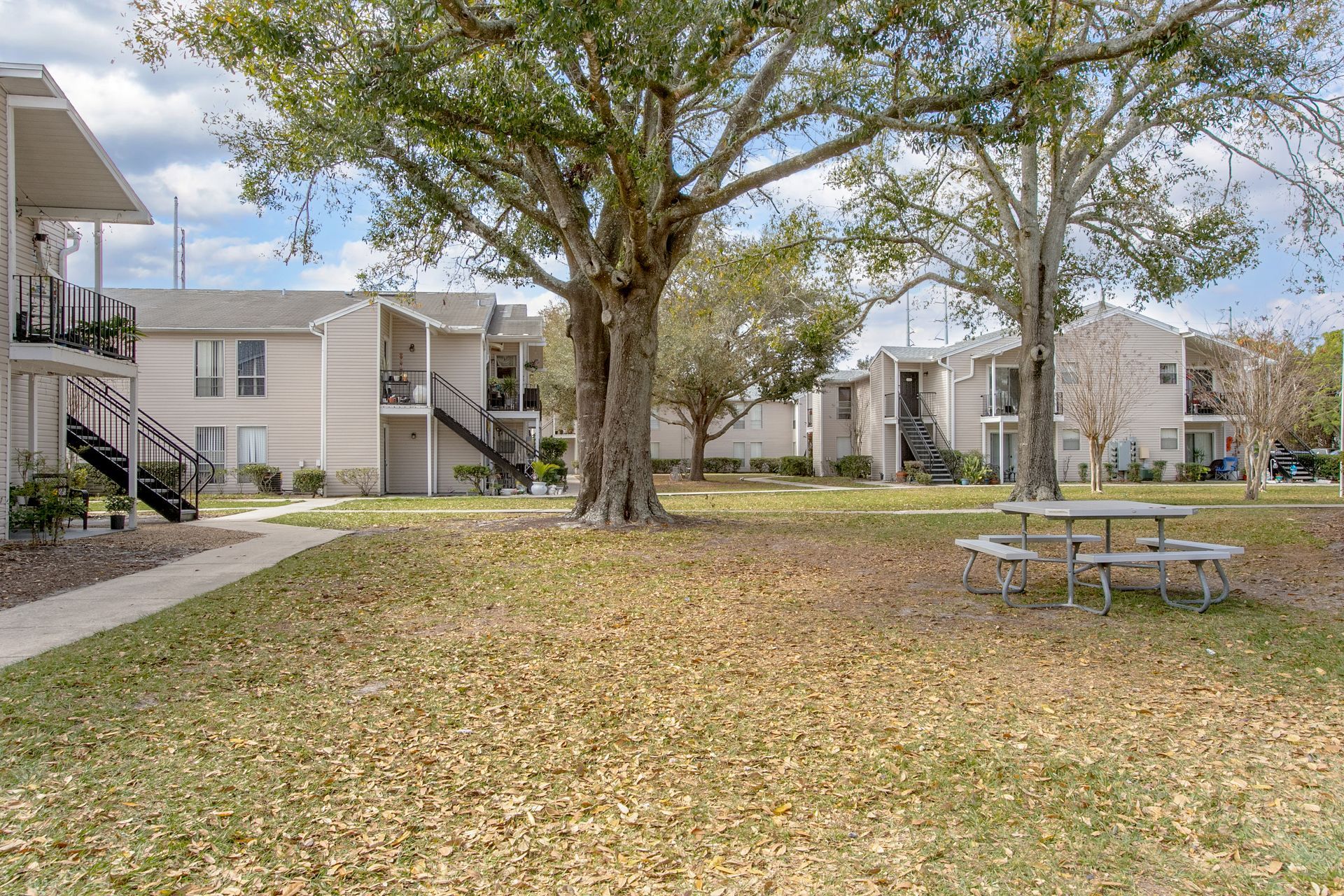 Apartment courtyard with large tree, fallen leaves, and a picnic table between buildings.