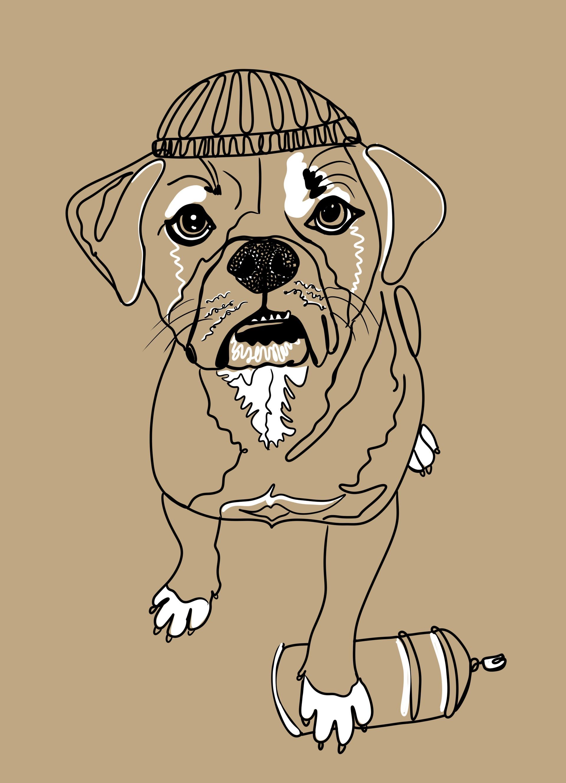 dog illustration