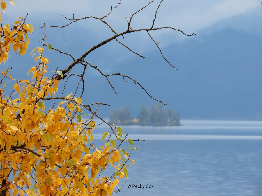 Yellow autumn leaves over a calm blue lake with misty mountains in the background