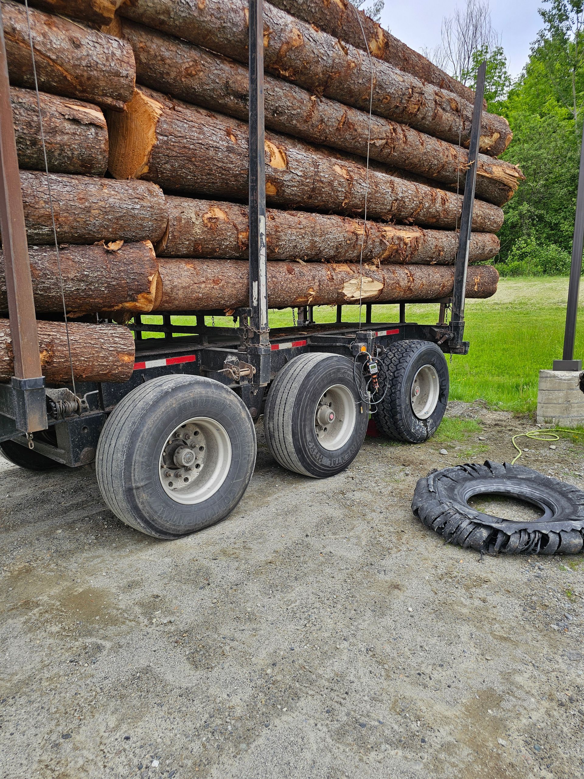A truck loaded with logs is parked on a dirt road.