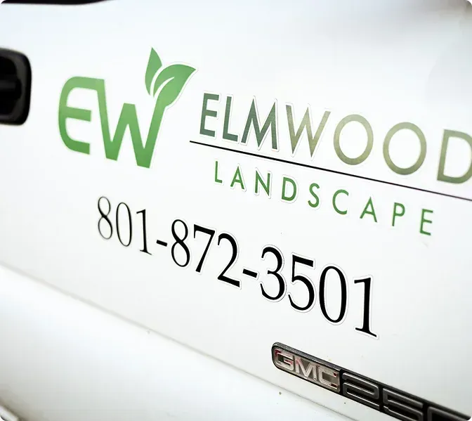 elmwood landscape story