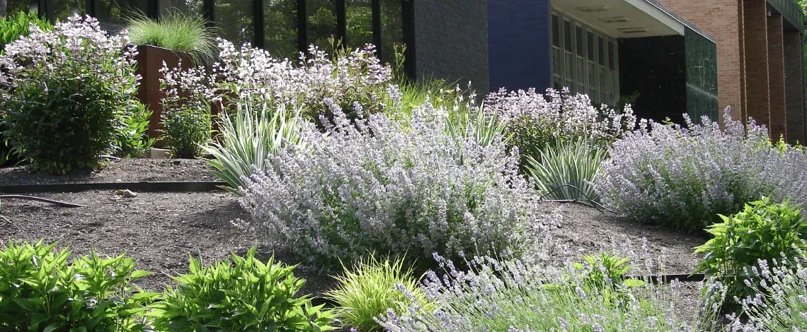 modern xeriscape utah residential landscape
