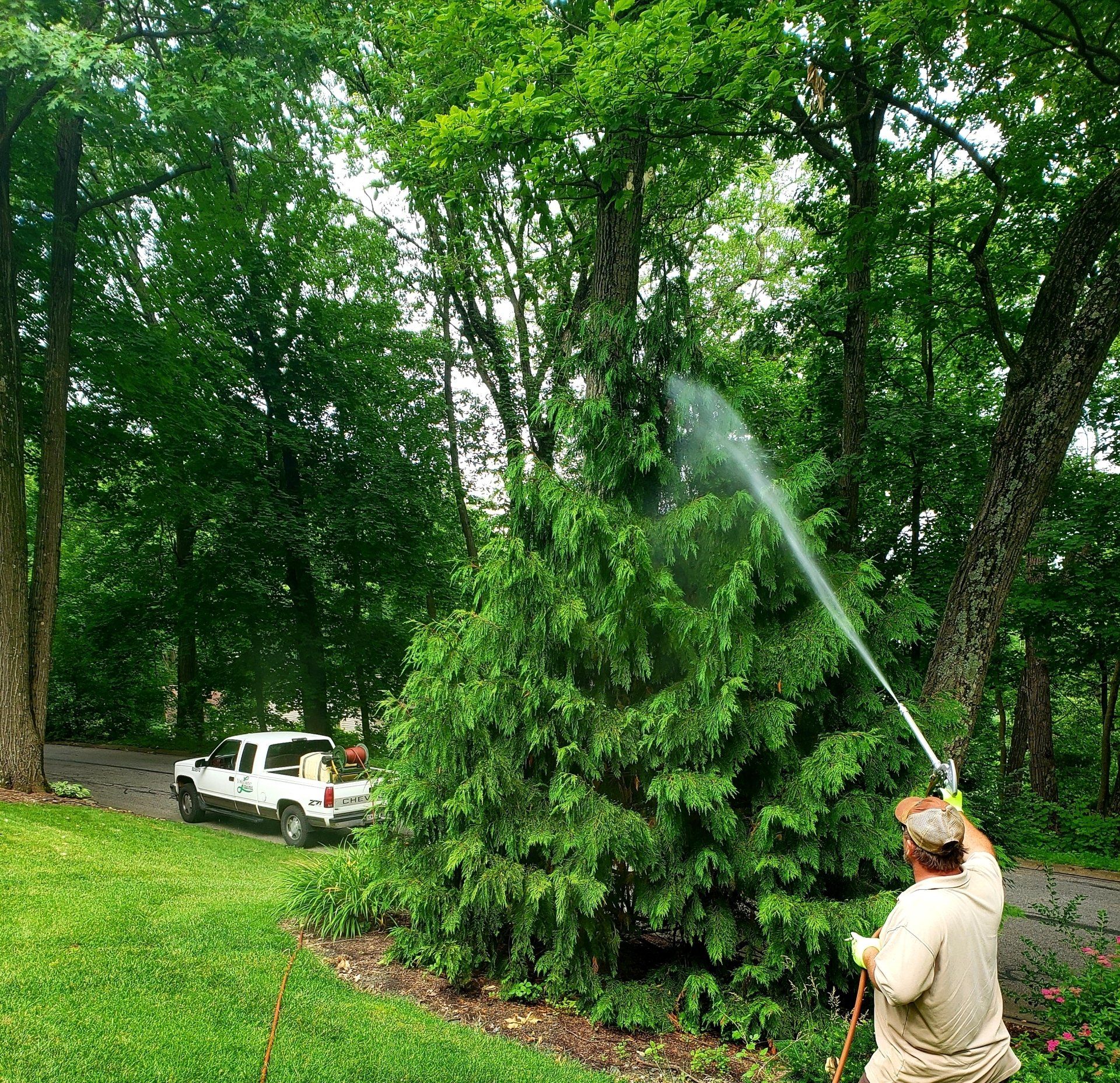 Tree Treatment — Windsor, PA — Yorktowne Lawns Inc.