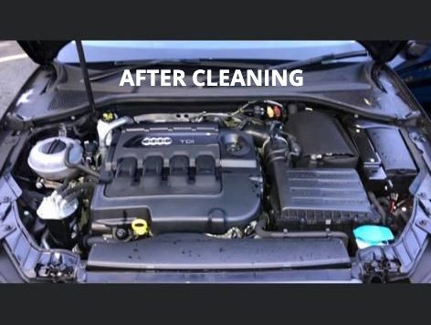 ENGINE AFTER CLEANING