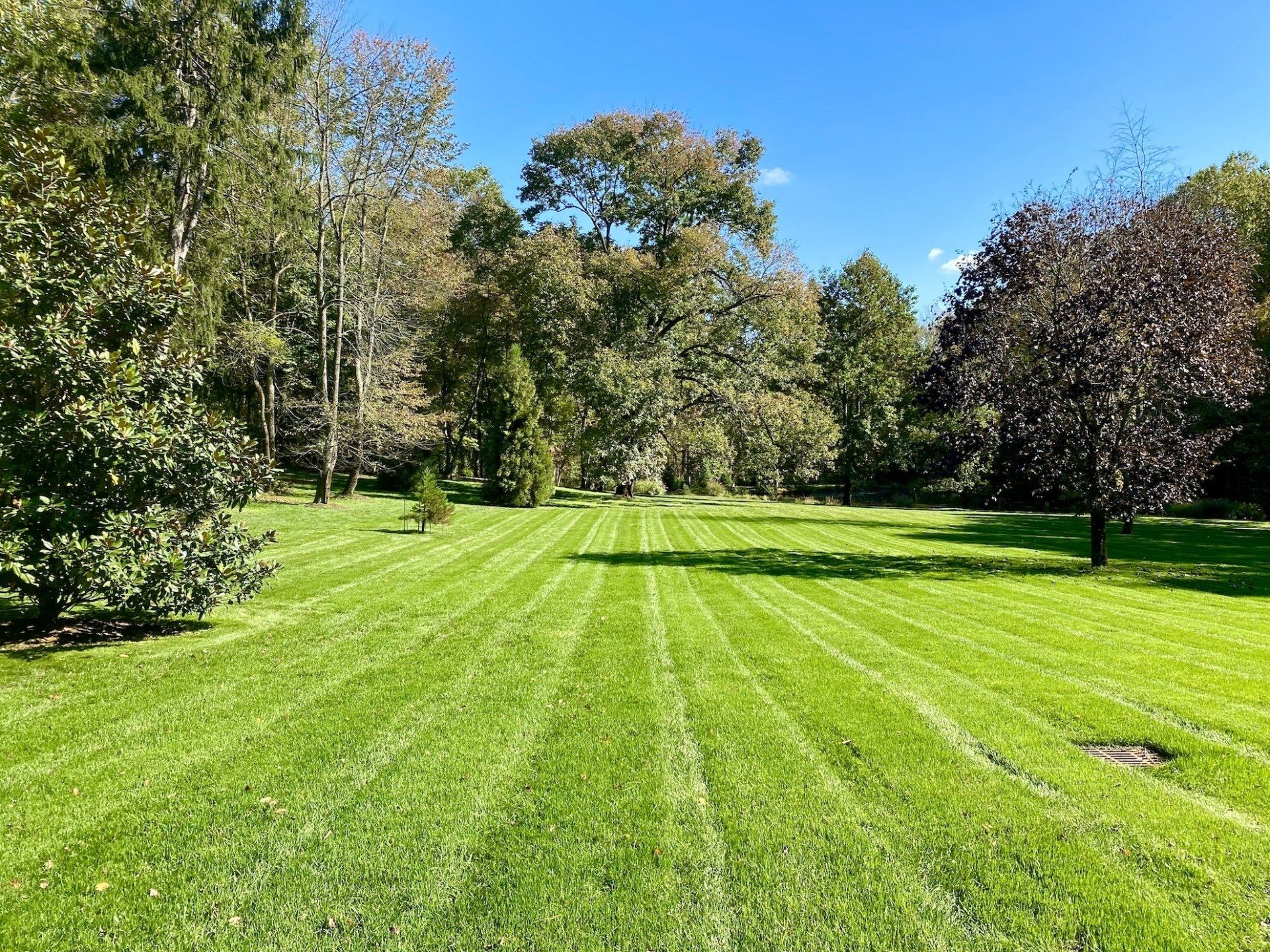 Lawn Care & Mowing