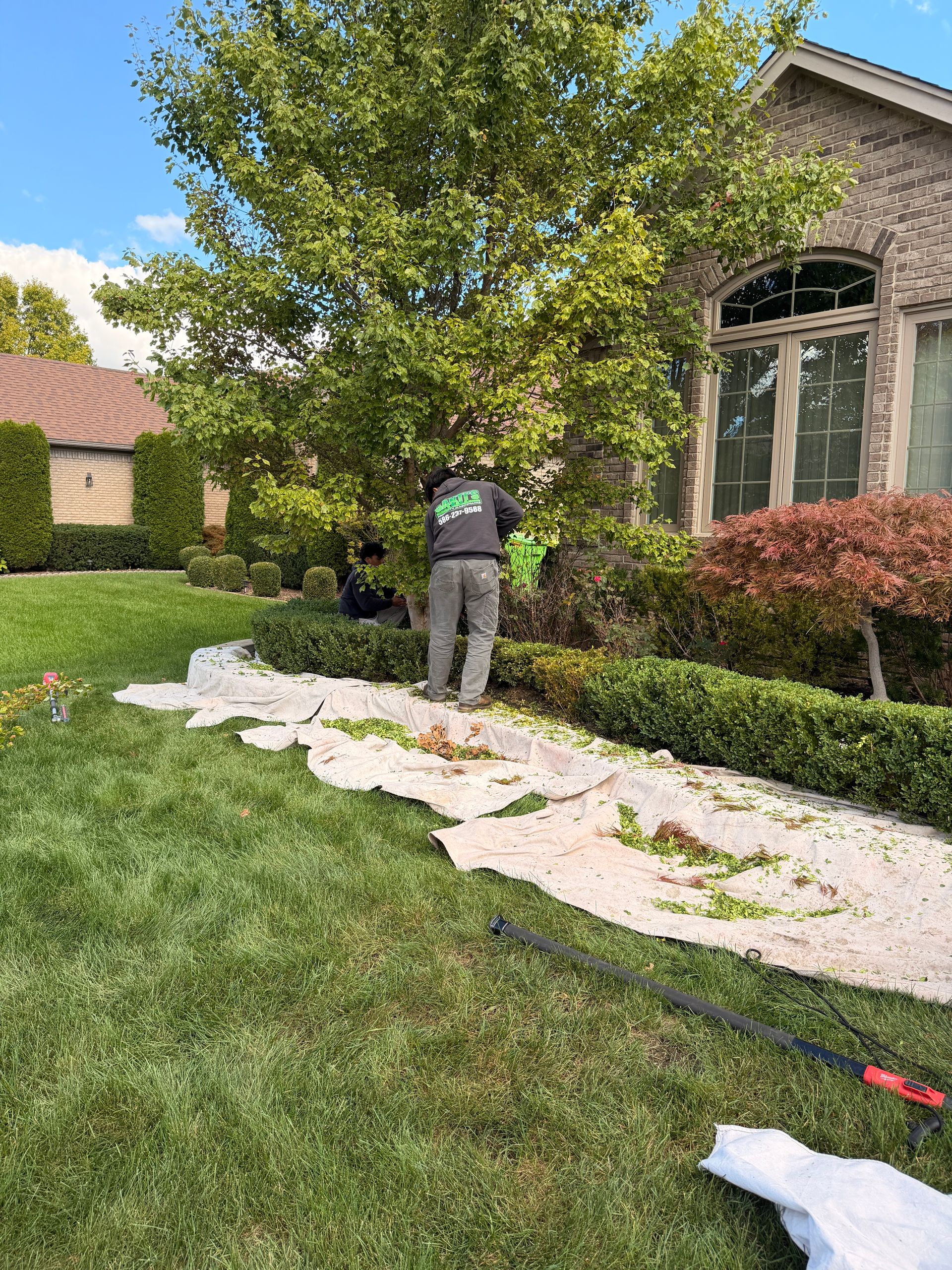 Worker spreading white landscaping fabric in a suburban yard beside a house and shrubs