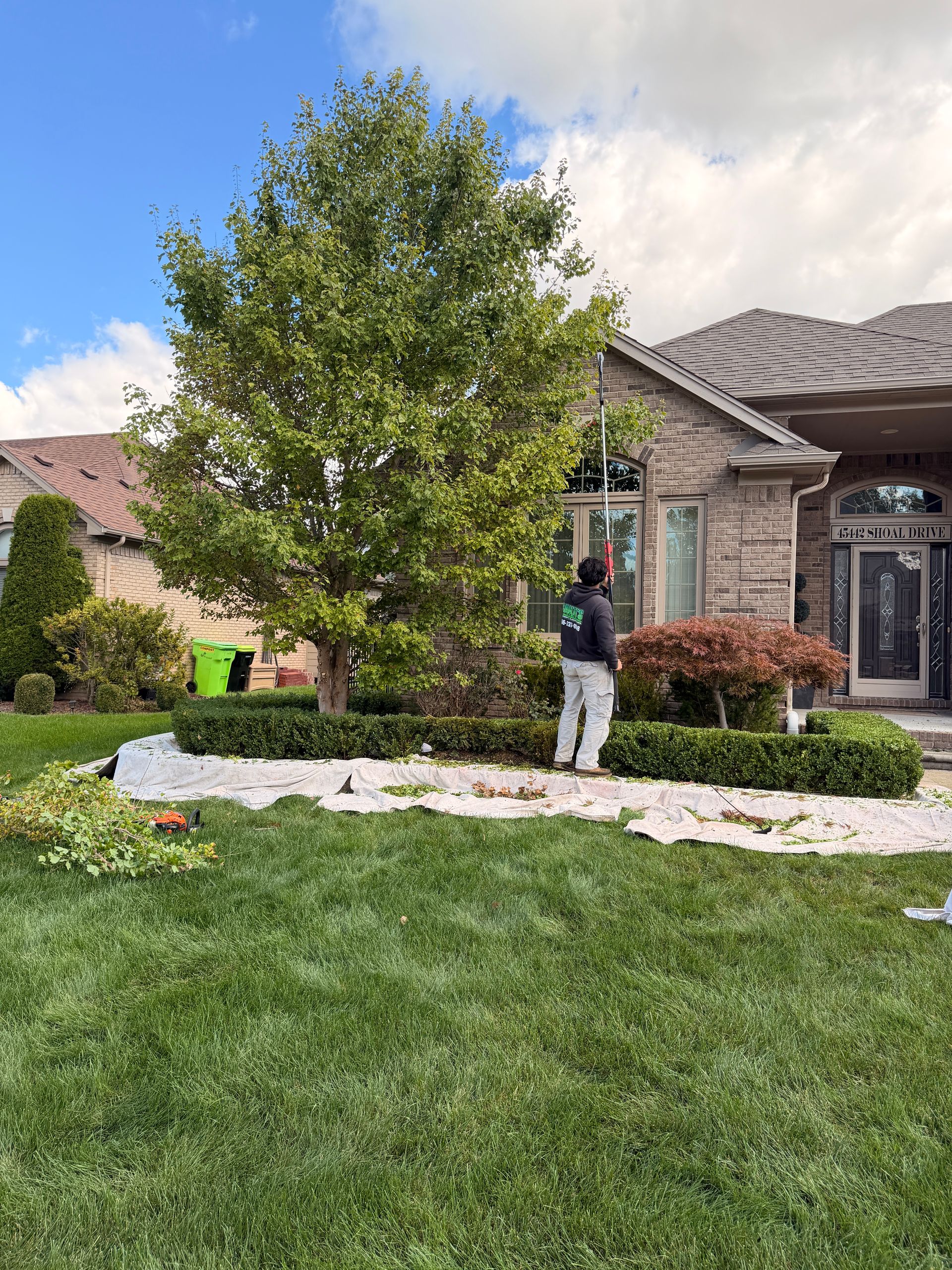Person trimming a small tree in a front yard of a suburban house
