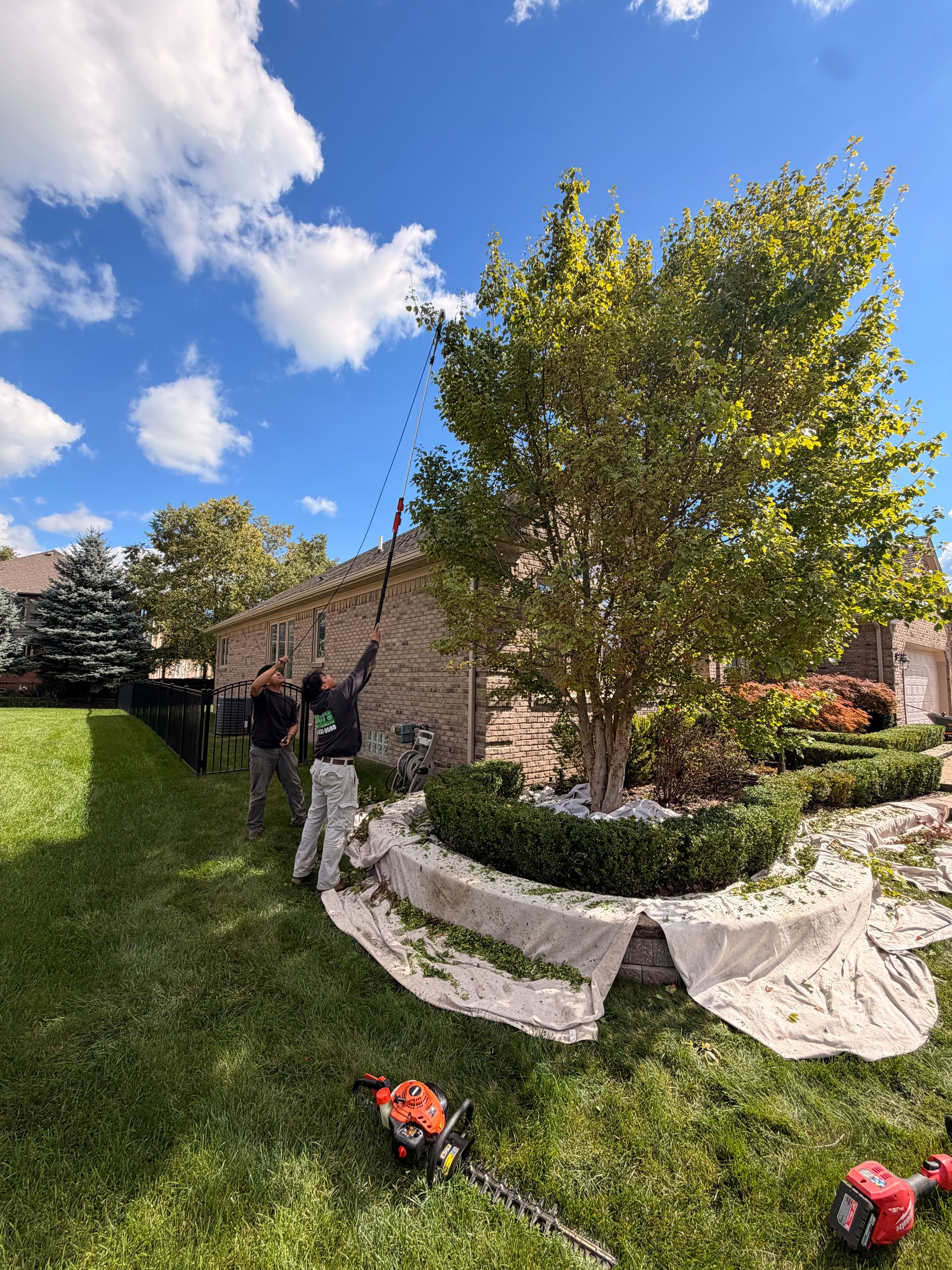 Two people trim a tree beside a brick house and landscaped garden under a sunny blue sky.