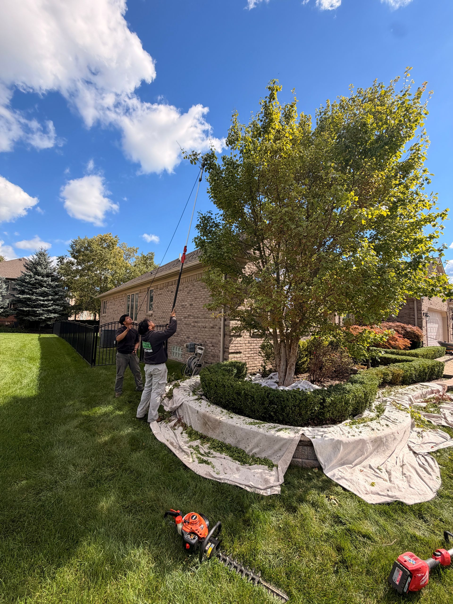 Person standing by a tree in a landscaped yard, with lawn equipment in the foreground and a brick house behind.