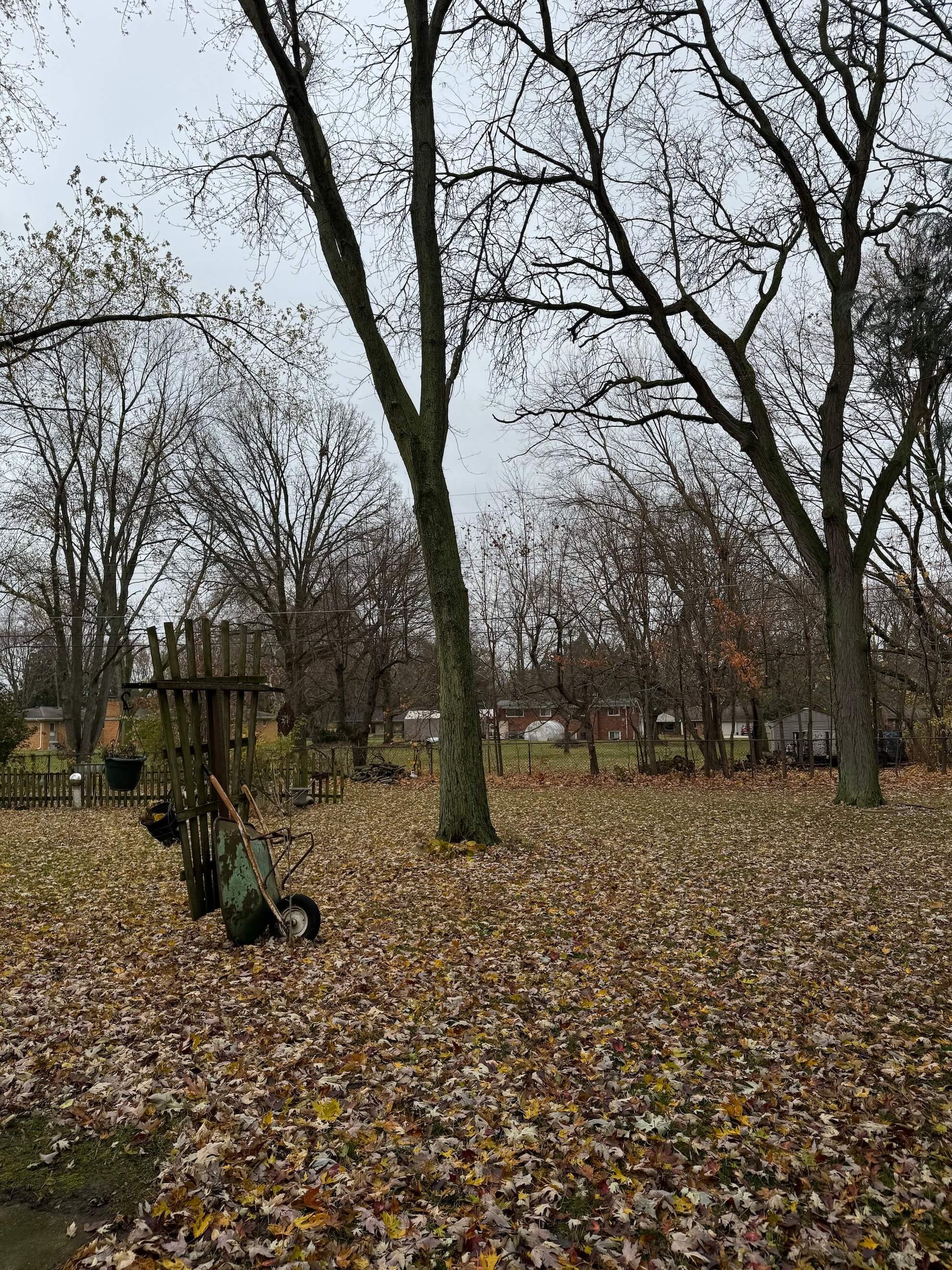 Backyard scene with fallen leaves, bare trees, and a wooden play structure under an overcast sky.