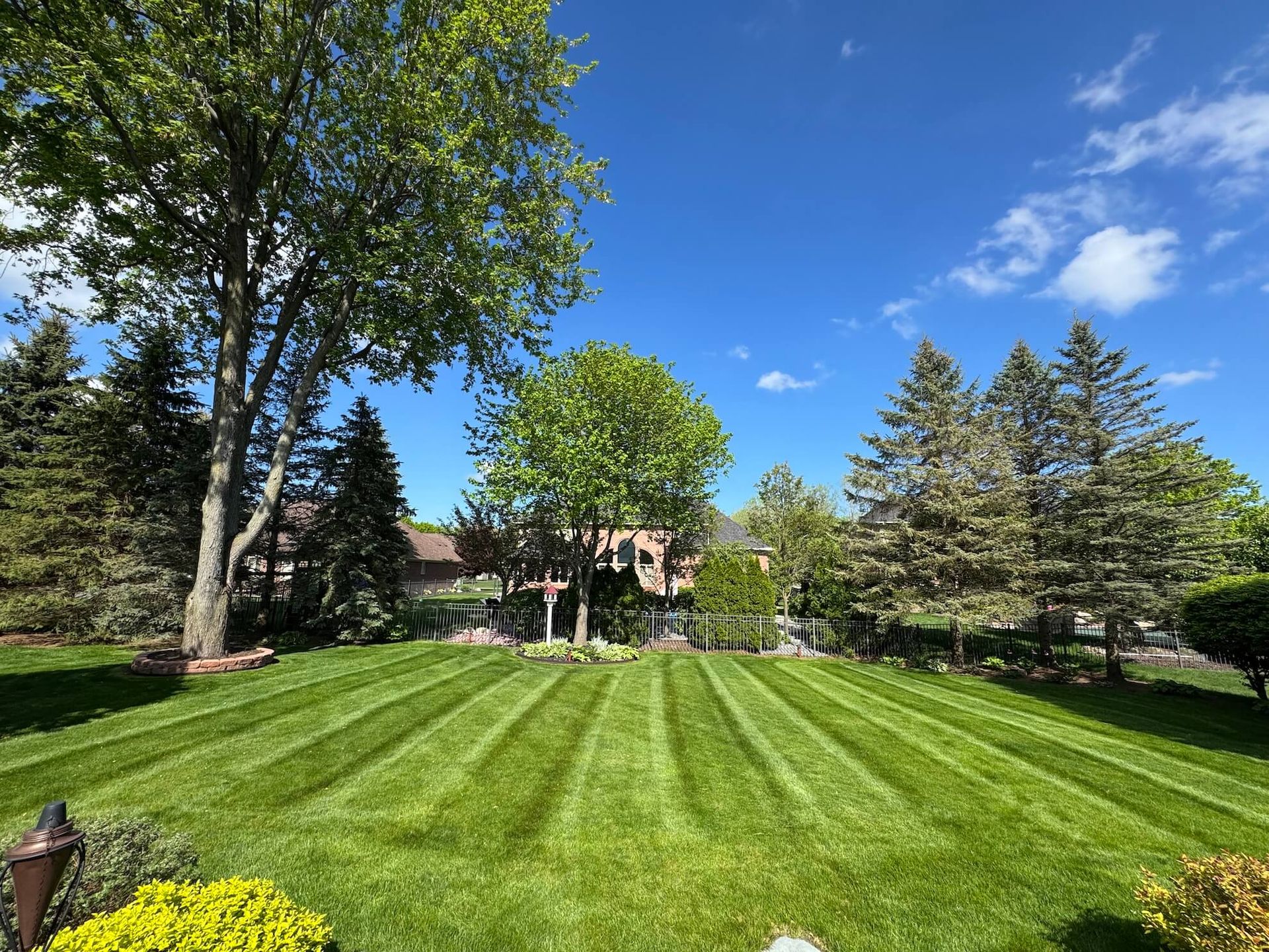 Green lawn with striped mowing pattern, trees, and partly cloudy blue sky.