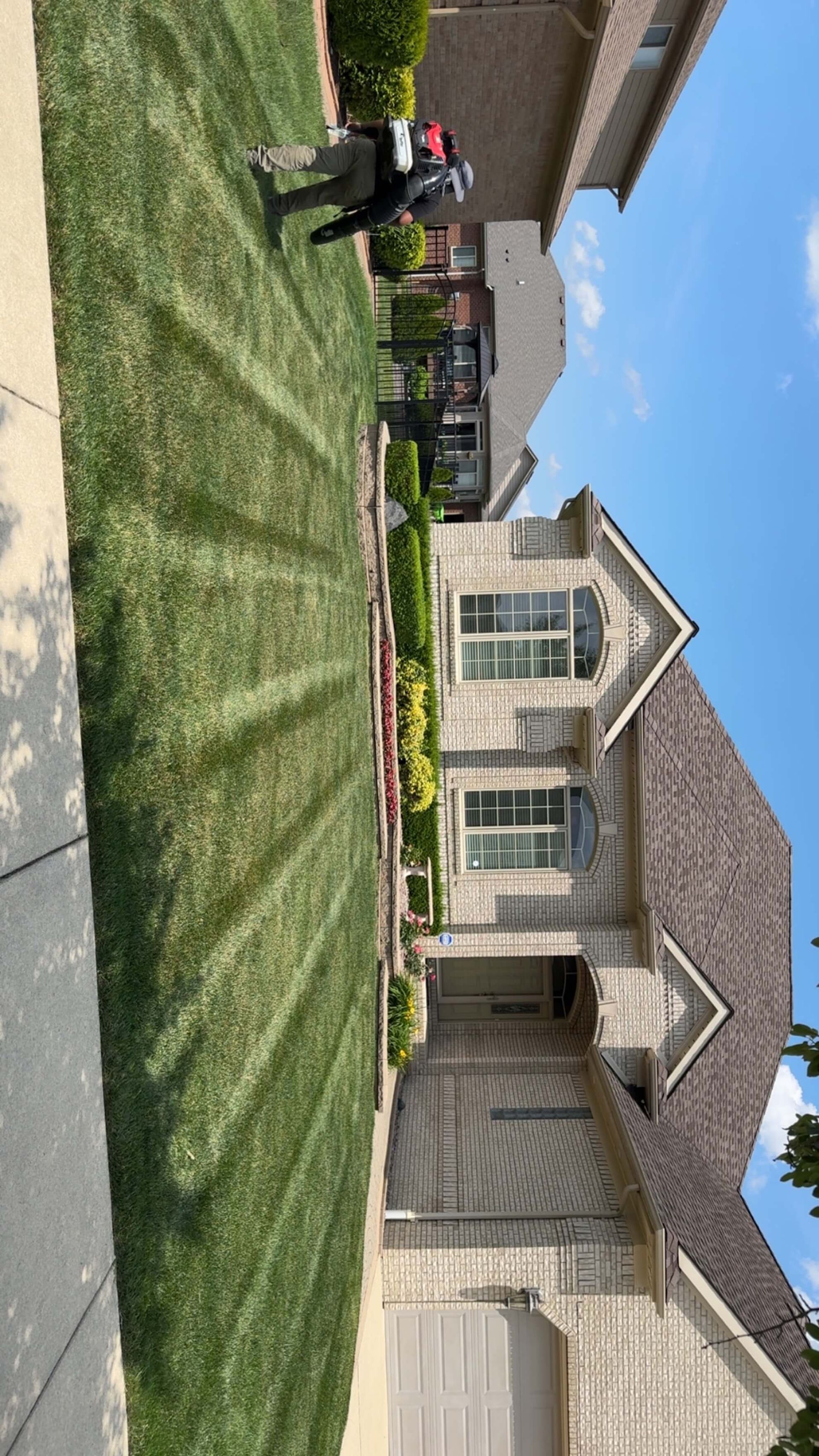 Lawn being mowed in front of a house, leaving stripes. Sunny day with a person operating a mower.