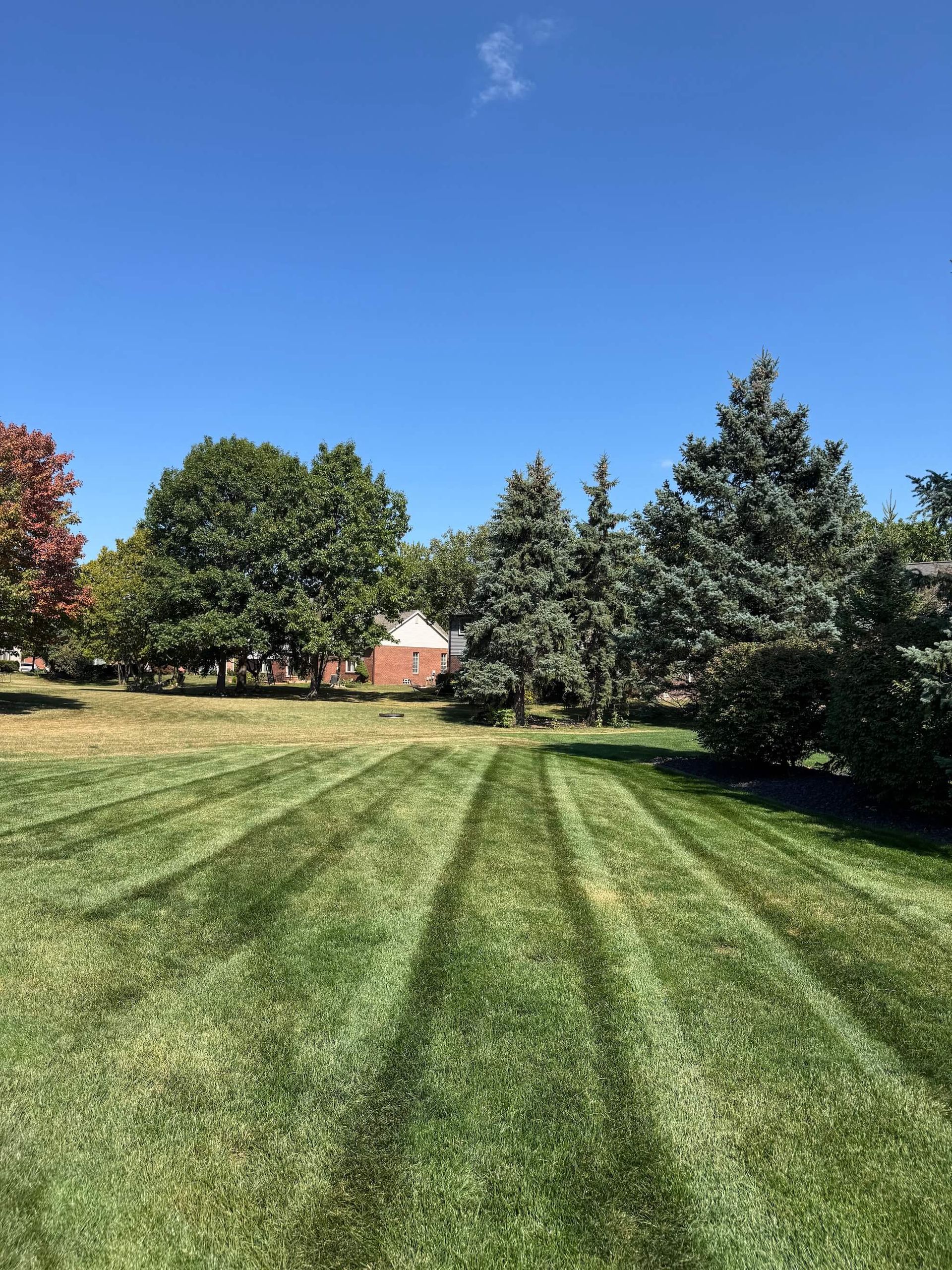 Two arched windows above a bed of green and brown bushes on a brick home.
