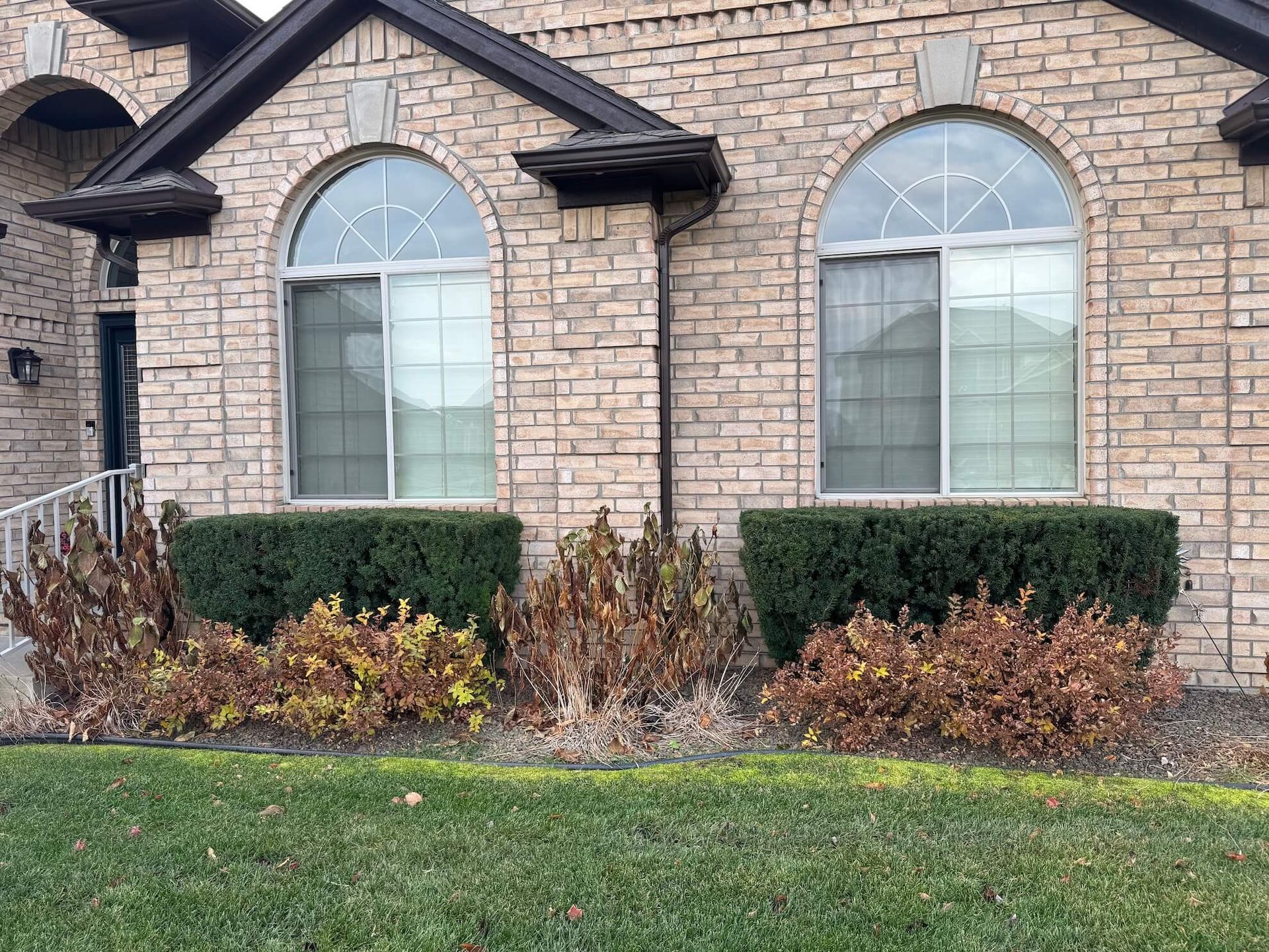 Brick house with arched windows, two green bushes, and brown and yellow dead plants in front.